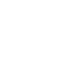 respiratory icon