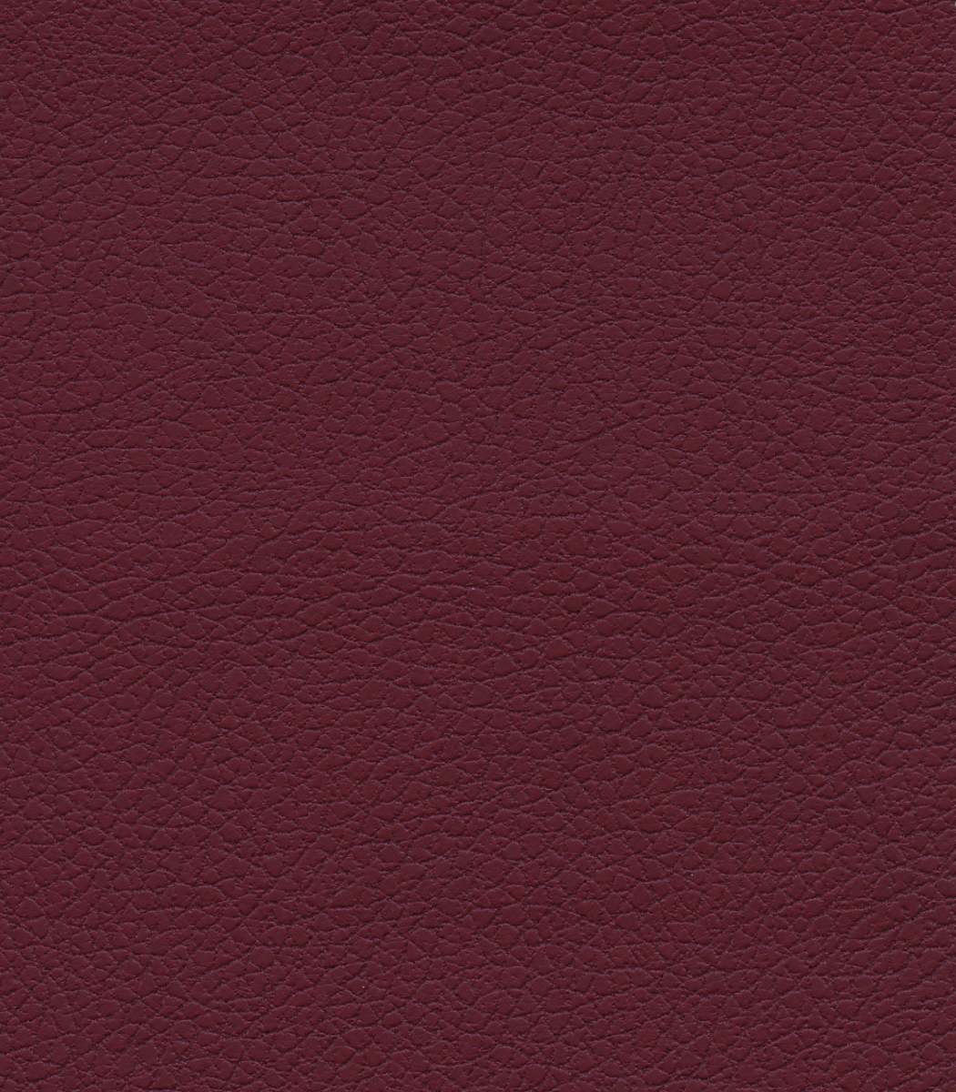 Brisa - Beet Root Brisa