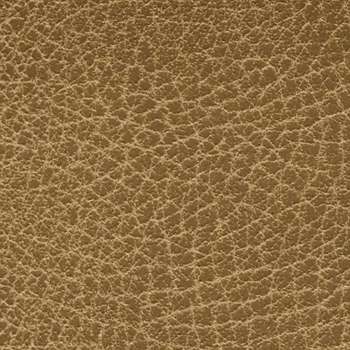 Brisa - Distressed Saddle