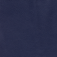 Brisa - Night Navy thumbnail