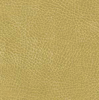 Brisa - Buckskin thumbnail