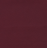 Brisa - Beet Root thumbnail Brisa thumbnail