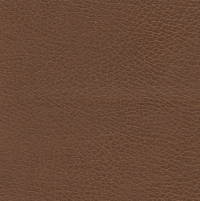 Brisa - Bridle thumbnail